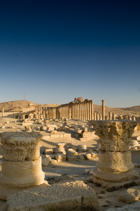 Palmyra