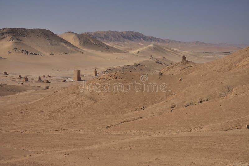 Palmyra desert