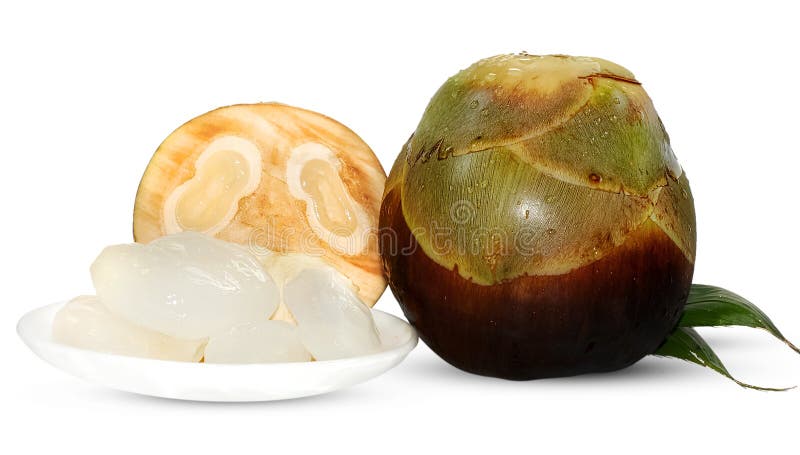 Palmyra palm, Toddy palm or Sugar palm Fruit isolated on white royalty free stock image Palmyra palm, Toddy palm or Sugar palm Fruit isolated on white royalty free stock image