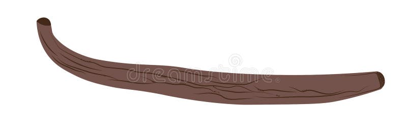 Palo de vainilla stock de ilustración