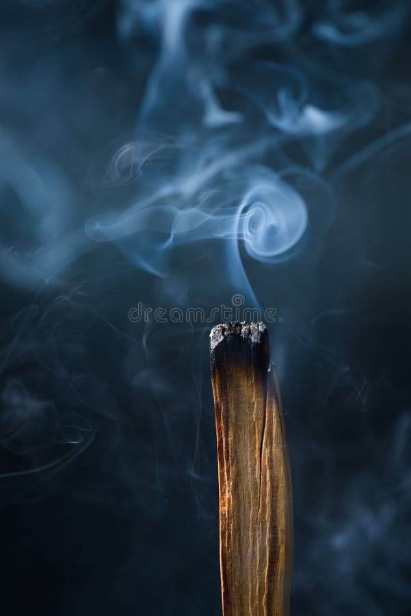 Palo Santo, holy tree stick royalty free stock photos