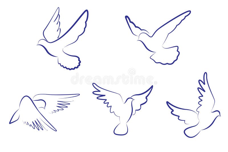 Palomas blancas ilustración del vector. Ilustración de cielo - 13017656 Palomas blancas ilustración del vector. Ilustración de cielo - 13017656
