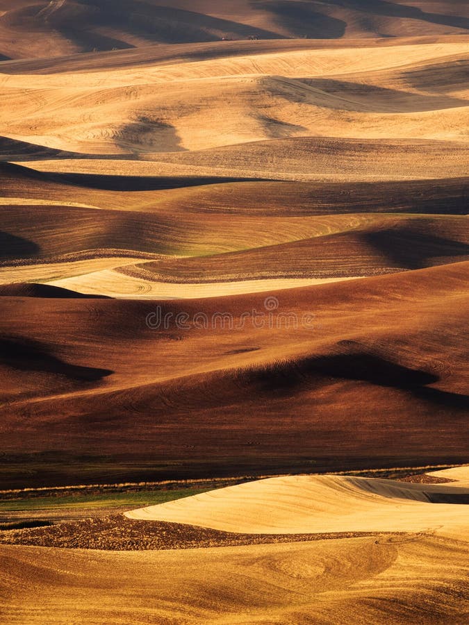 Palouse dal i nedgången Palouse dal i nedgången