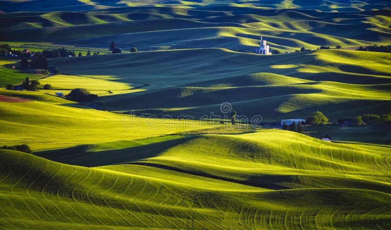 Palouse zmierzch, Waszyngton Palouse zmierzch, Waszyngton