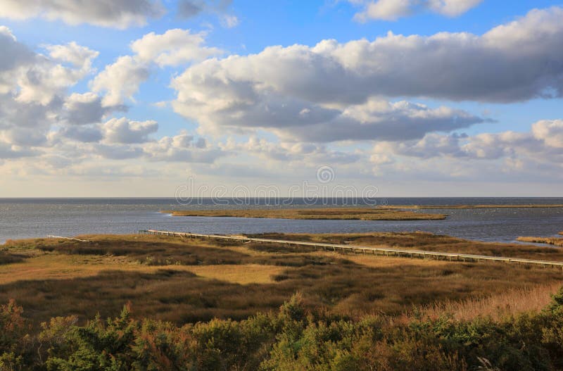 Pamlico Sound Marshland Sea Grasses Salvo North Carolina Outer Banks