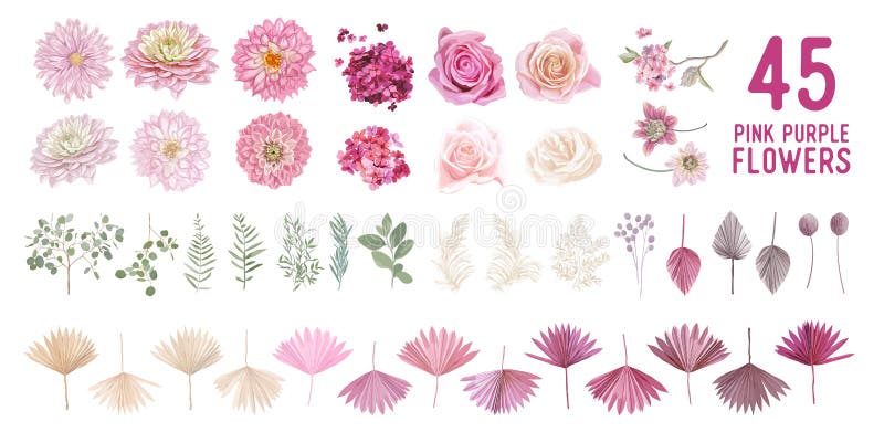 Pampa Séchée Herbe Dahlia Rose Fleurs Feuilles De Palmier Tropical Bouquets  Vecteurs. Aquarelle Pastel Floral Illustration de Vecteur - Illustration du  moderne, bouquet: 212660823