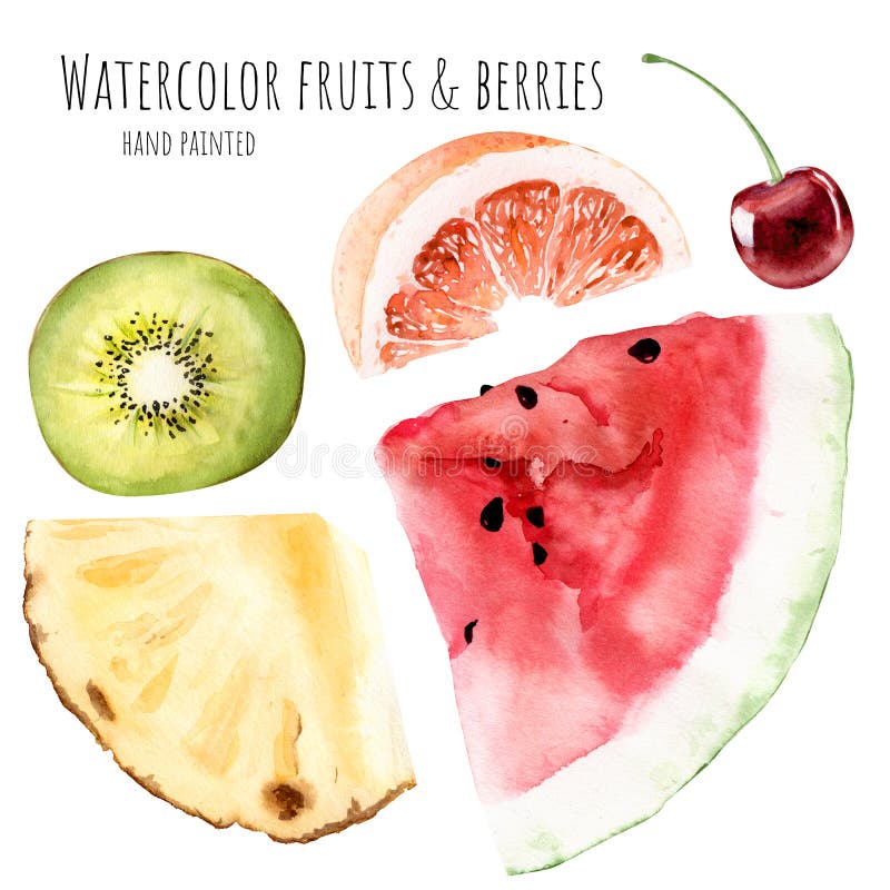 Pamplemousse figé k de clipart d'aquarelle de kiwi tiré par la main d'illustration illustration stock Pamplemousse figé k de clipart d'aquarelle de kiwi tiré par la main d'illustration illustration stock