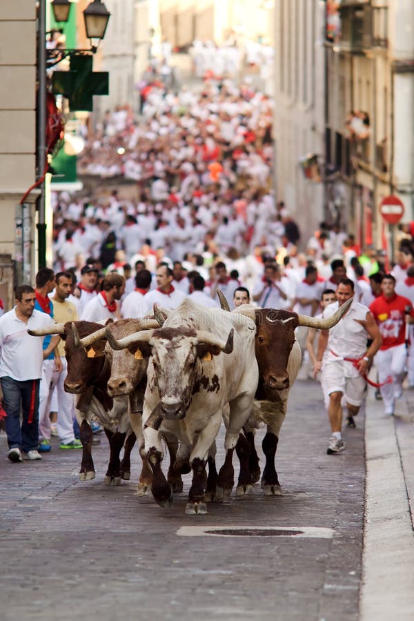 PAMPLONA, SPAGNA 9 LUGLIO: Tori ed uomini che corrono in via durante la S immagini stock libere da diritti PAMPLONA, SPAGNA 9 LUGLIO: Tori ed uomini che corrono in via durante la S immagini stock libere da diritti
