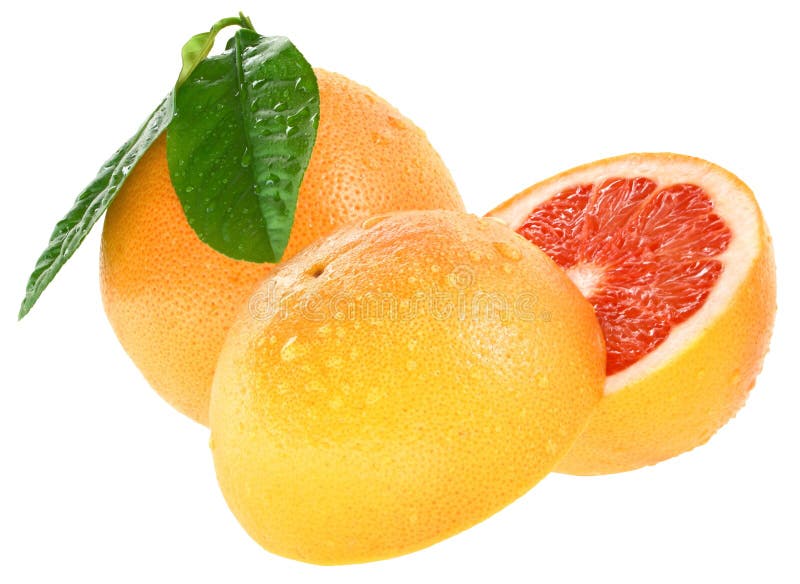 Toranja fotografia de stock