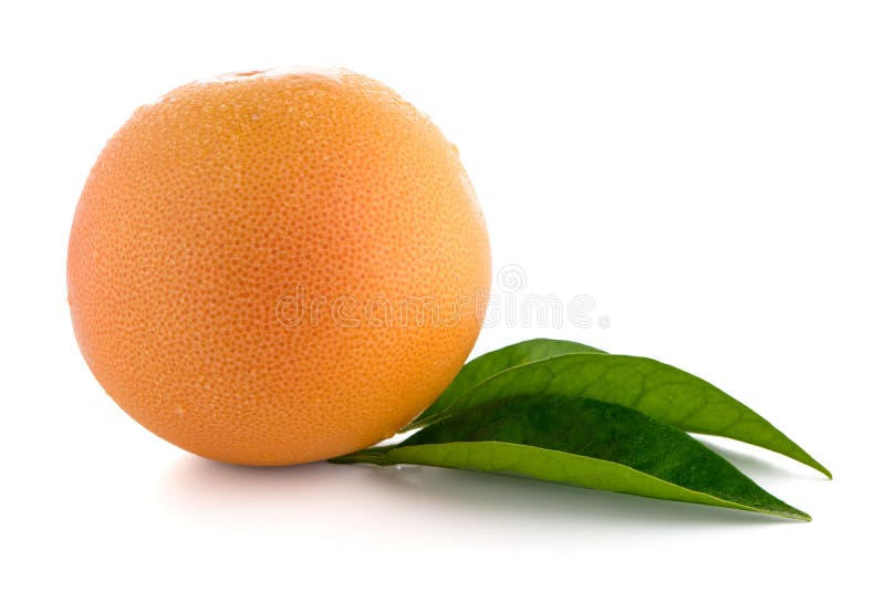 Toranja vermelha madura imagem de stock