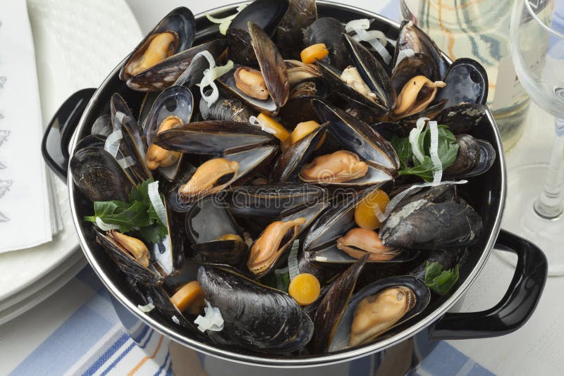 Pan with fresh cooked mussels stock photo