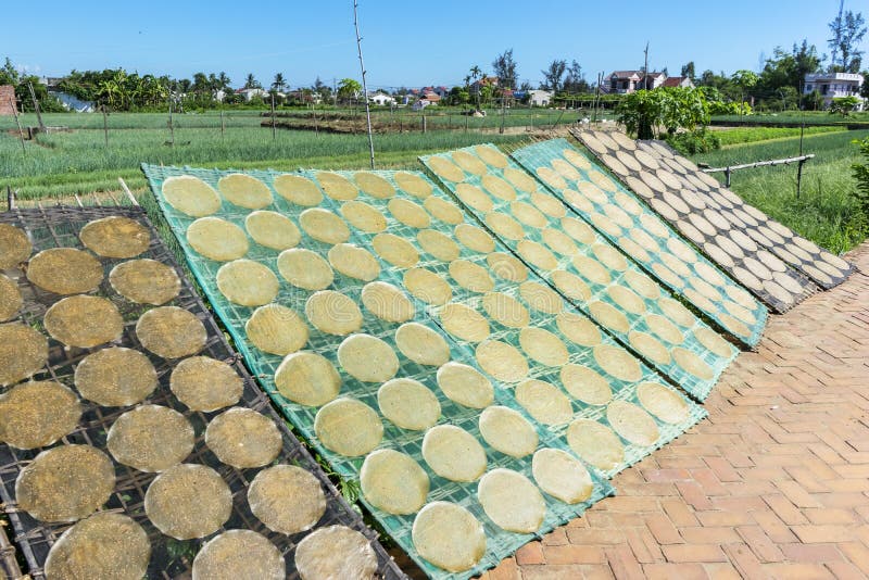 Pancake asciutto del sesamo, provincia di Quang Nam, Vietnam immagine stock Pancake asciutto del sesamo, provincia di Quang Nam, Vietnam immagine stock