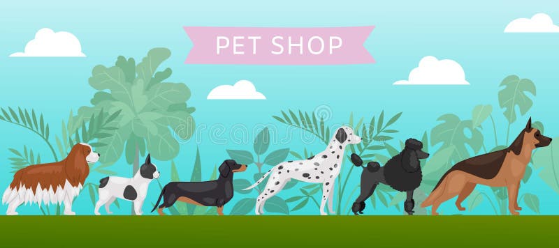 Tienda De Mascotas Razas De Perros, Servicio De Petshop E Ilustración De Vector De Comida Ilustración del Vector - Ilustración de colmena, cartel: 172299977