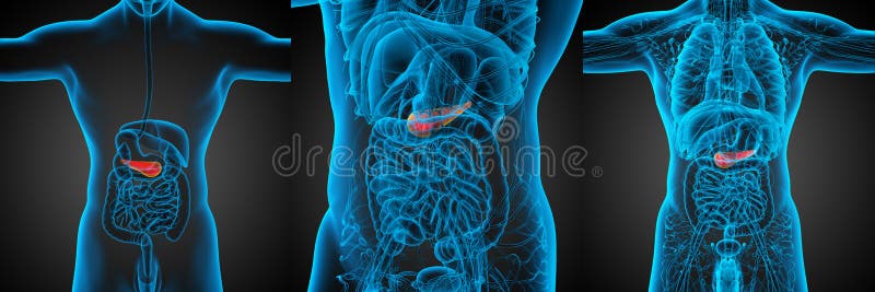 Pancrease απεικόνιση αποθεμάτων