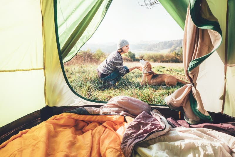 Pand della donna la sua scena dell'offerta del cane vicino alla tenda di campeggio Svago attivo, viaggiante con l'immagine di con fotografia stock Pand della donna la sua scena dell'offerta del cane vicino alla tenda di campeggio Svago attivo, viaggiante con l'immagine di con fotografia stock