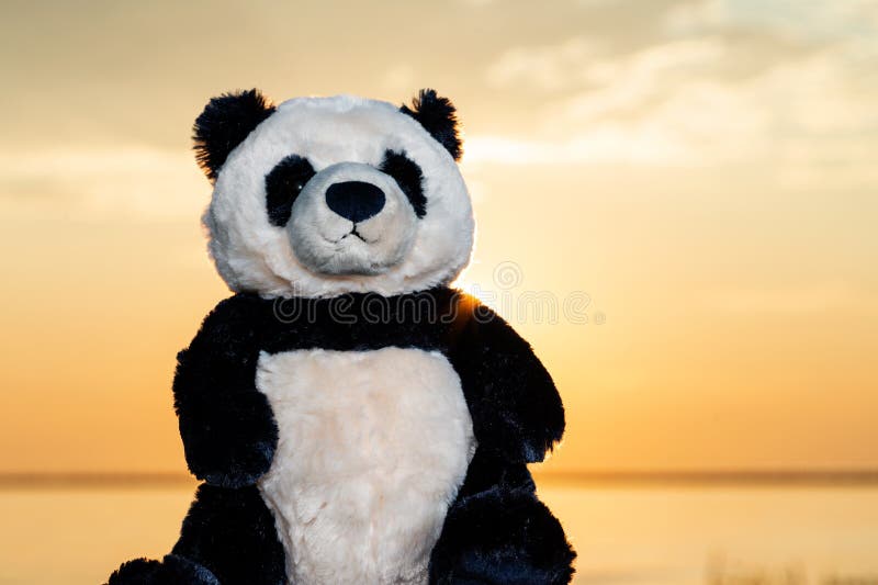 447 Stuffed Panda Stock Photos - Free & Royalty-Free Stock Photos from  Dreamstime