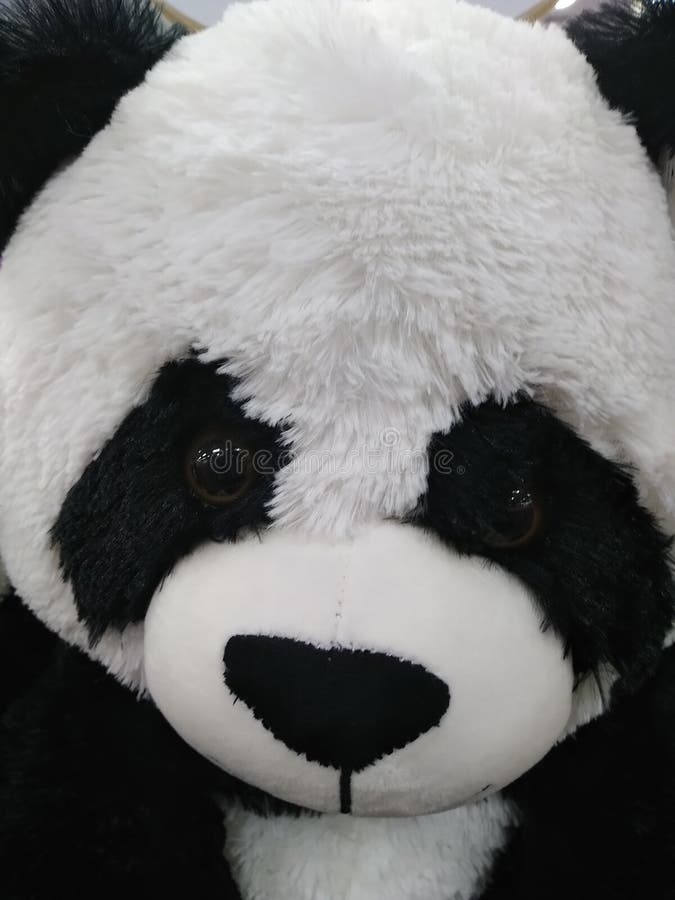 Teddy Panda stock image. Image of love, kids, lovable, stuffed 144819