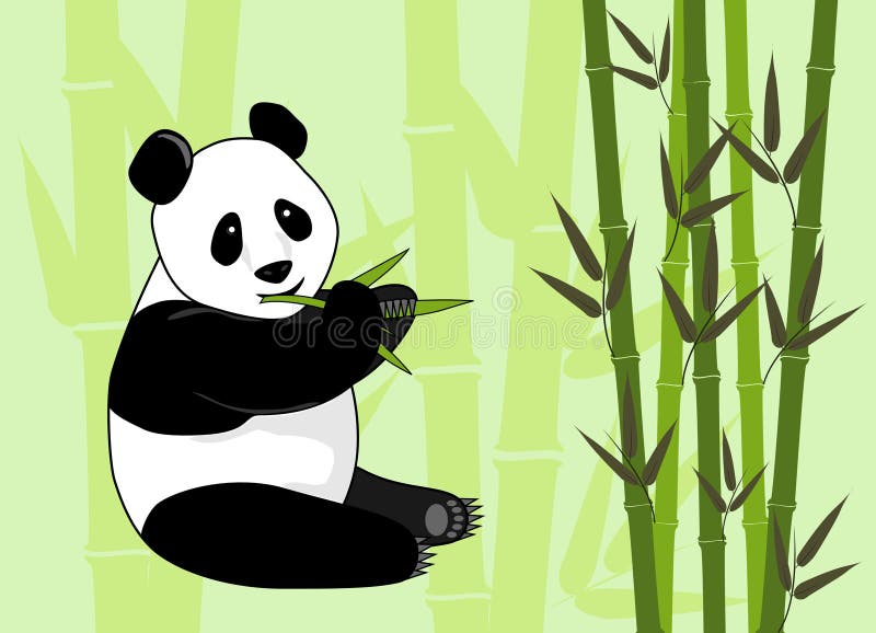 Giant panda bear eating bamboo in forest. Giant panda bear eating bamboo in forest