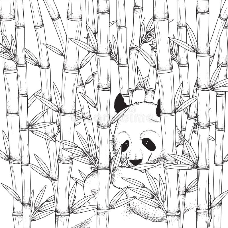 Panda bonito a comer bambu - Pandas - Coloring Pages for Adults