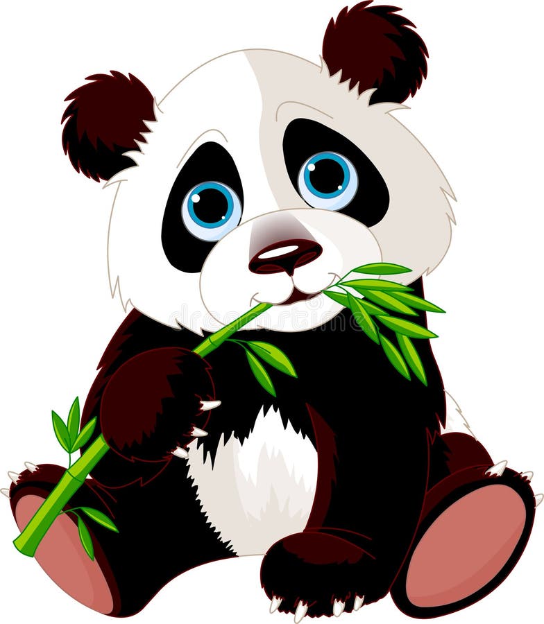 Very cute Panda eating bamboo. Very cute Panda eating bamboo