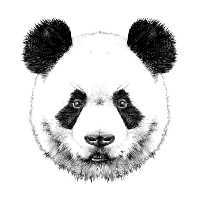 Panda head stock vector. Illustration of bear, design - 90617700