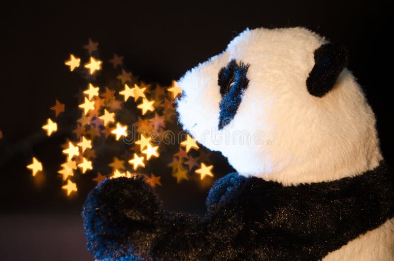 Panda och stjärnor arkivfoton Panda och stjärnor arkivfoton