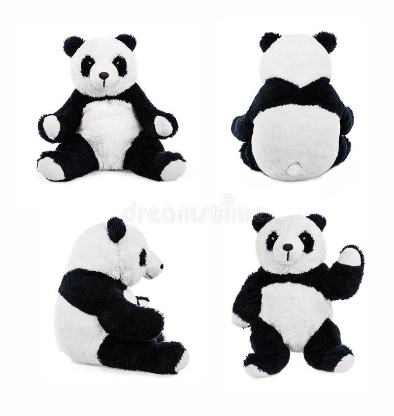 Panda Teddybear showing different set of positions. Panda Teddybear showing different set of positions