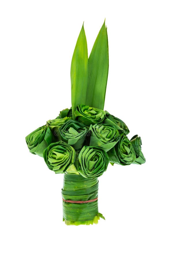 Pandanus Palm leaves are folded roses. royalty free stock photo Pandanus Palm leaves are folded roses. royalty free stock photo