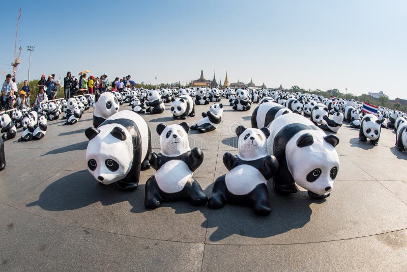 panda world tour