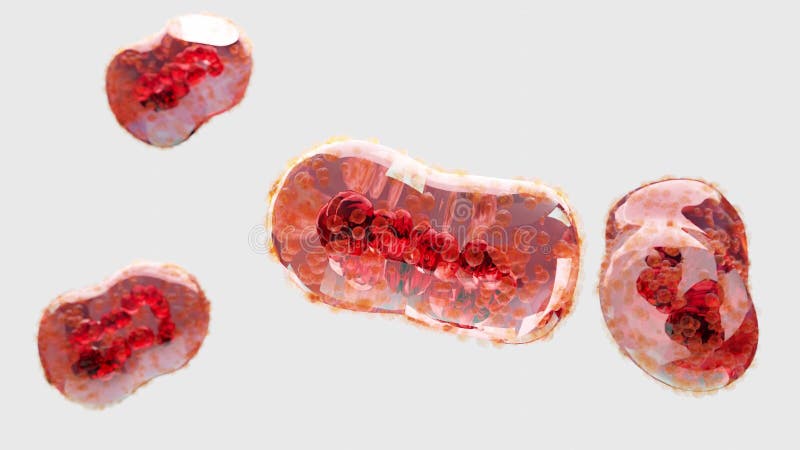 Pandemia di infezioni da monkeypox. sintomi di cellule di monkeypox o varianti di precauzione variante del vaiolo febbre mutata mi archivi video