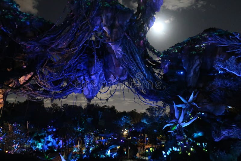 Pandora The World Of Avatar At Walt Disney
