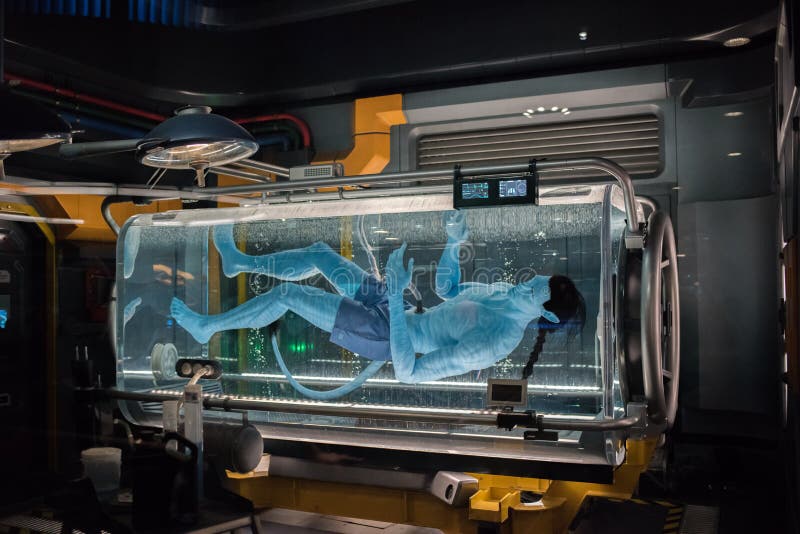 Pandora – The World of Avatar at the Animal Kingdom at Walt Disney World royalty free stock photo Pandora – The World of Avatar at the Animal Kingdom at Walt Disney World royalty free stock photo