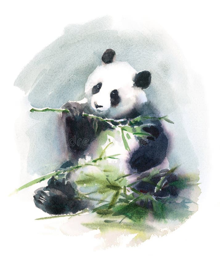 Pandy łasowania Bambusowej akwareli Zwierzęca Ilustracyjna ręka Malująca