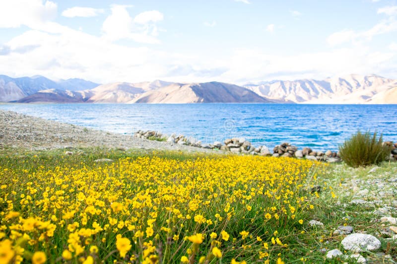 Pangong-See, Ladakh, Indien lizenzfreies stockbild