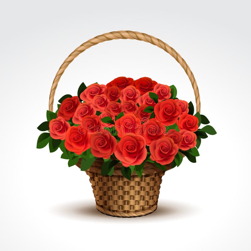 Panier des roses rouges d'isolement illustration stock Panier des roses rouges d'isolement illustration stock