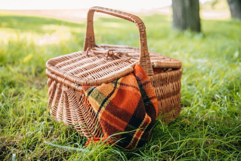 Panier En Osier De Pique-nique Avec Le Plaid Sur L'herbe Verte En Parc  Image stock - Image du checkered, jour: 97794985