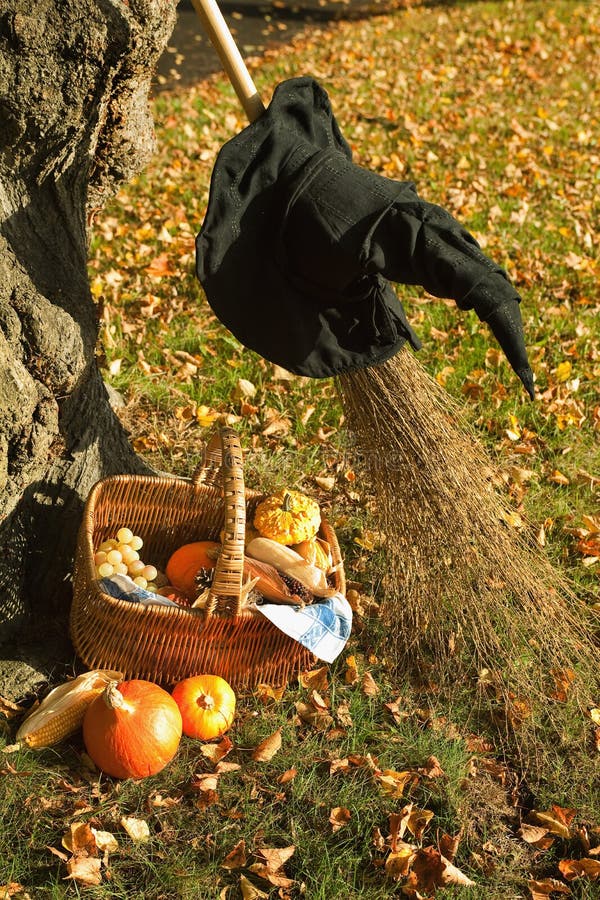 Halloween scene with witch's hat, broom and pumpkin basket in the park. Halloween scene with witch's hat, broom and pumpkin basket in the park