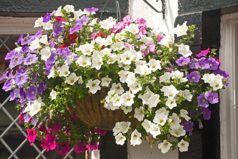 Panier s'arrêtant. image stock Panier s'arrêtant. image stock