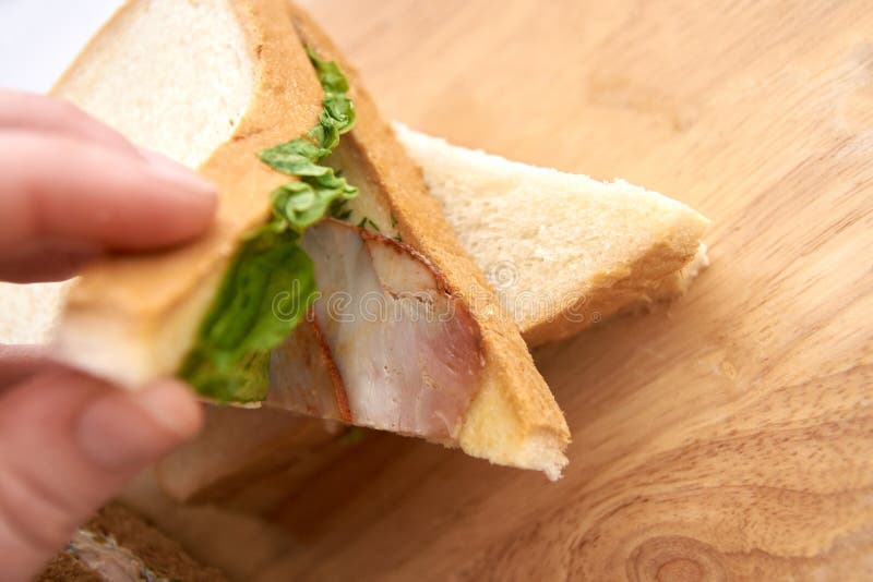 Panino con il prosciutto Insalata verde fotografia stock libera da diritti Panino con il prosciutto Insalata verde fotografia stock libera da diritti