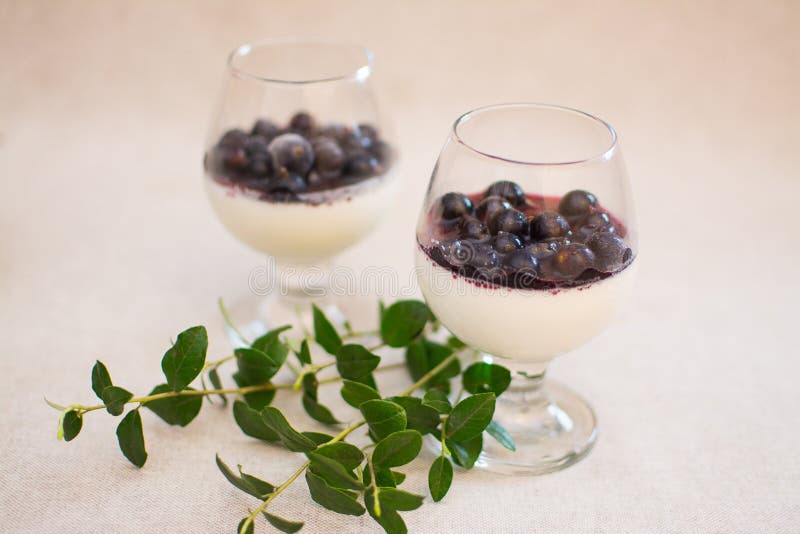 Milk dessert with blueberry jam and fresh berries royalty free stock images Milk dessert with blueberry jam and fresh berries royalty free stock images