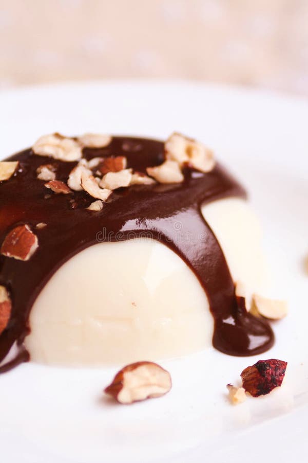 Panna cotta casalinga della vaniglia con cioccolato fotografie stock Panna cotta casalinga della vaniglia con cioccolato fotografie stock