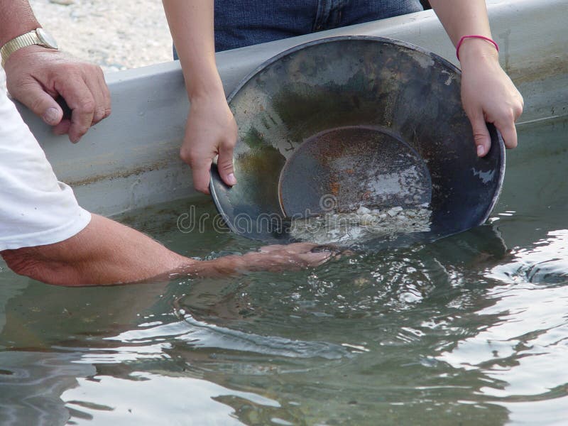 Close Up Gold Digging From South Of Thailand Stock Photo, Picture and  Royalty Free Image. Image 102892916.