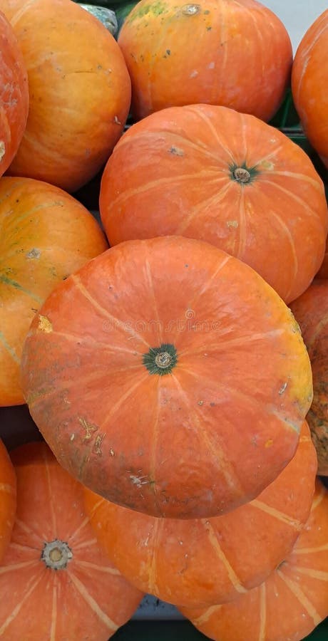 Pannolini di zucche grezze spesso utilizzati per decorazioni di alloween immagini stock
