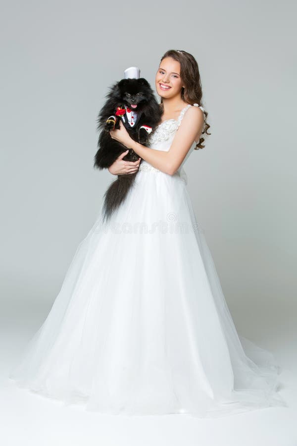 Beautiful young woman bride in dress holding handsome spitz groom in suit, red bow and silk hat on gray background. dog wedding. copy space. Beautiful young woman bride in dress holding handsome spitz groom in suit, red bow and silk hat on gray background. dog wedding. copy space.