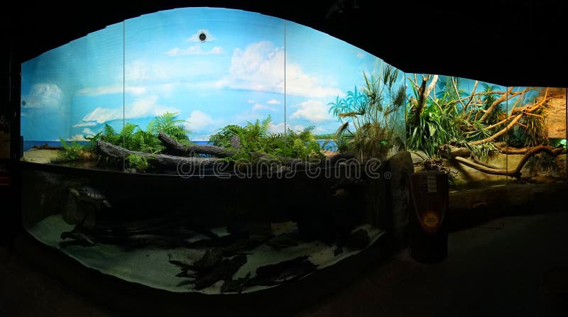 Fra ale En del Papua Exposition Panorama of Aquarium Stock Image - Image of wildlife,  education: 188719433