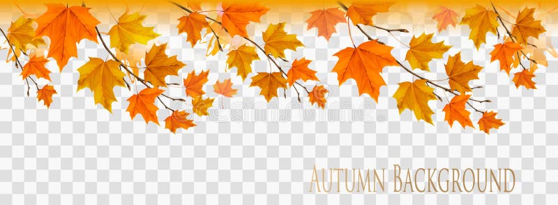 Panorama astratto di autunno con le foglie variopinte royalty illustrazione gratis