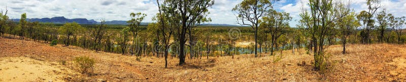 Panorama Australijski krzak