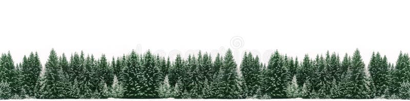 Panorama av den prydliga trädskogen som täckas av ny snö under vinterjultid