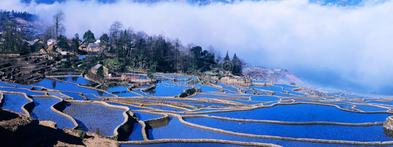 Ancient rice terraces panorama of yuanyang, yunnan, china. Ancient rice terraces panorama of yuanyang, yunnan, china