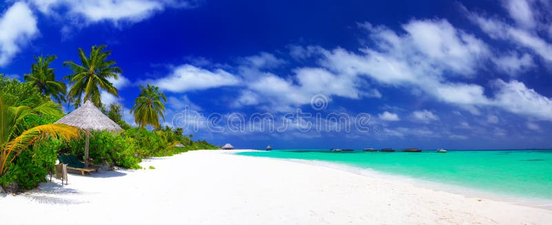 Panorama Of Beautiful Beach On Maldives Royalty Free Stock Photos ...